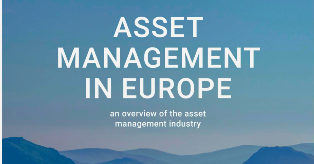 A picture of the asset management report