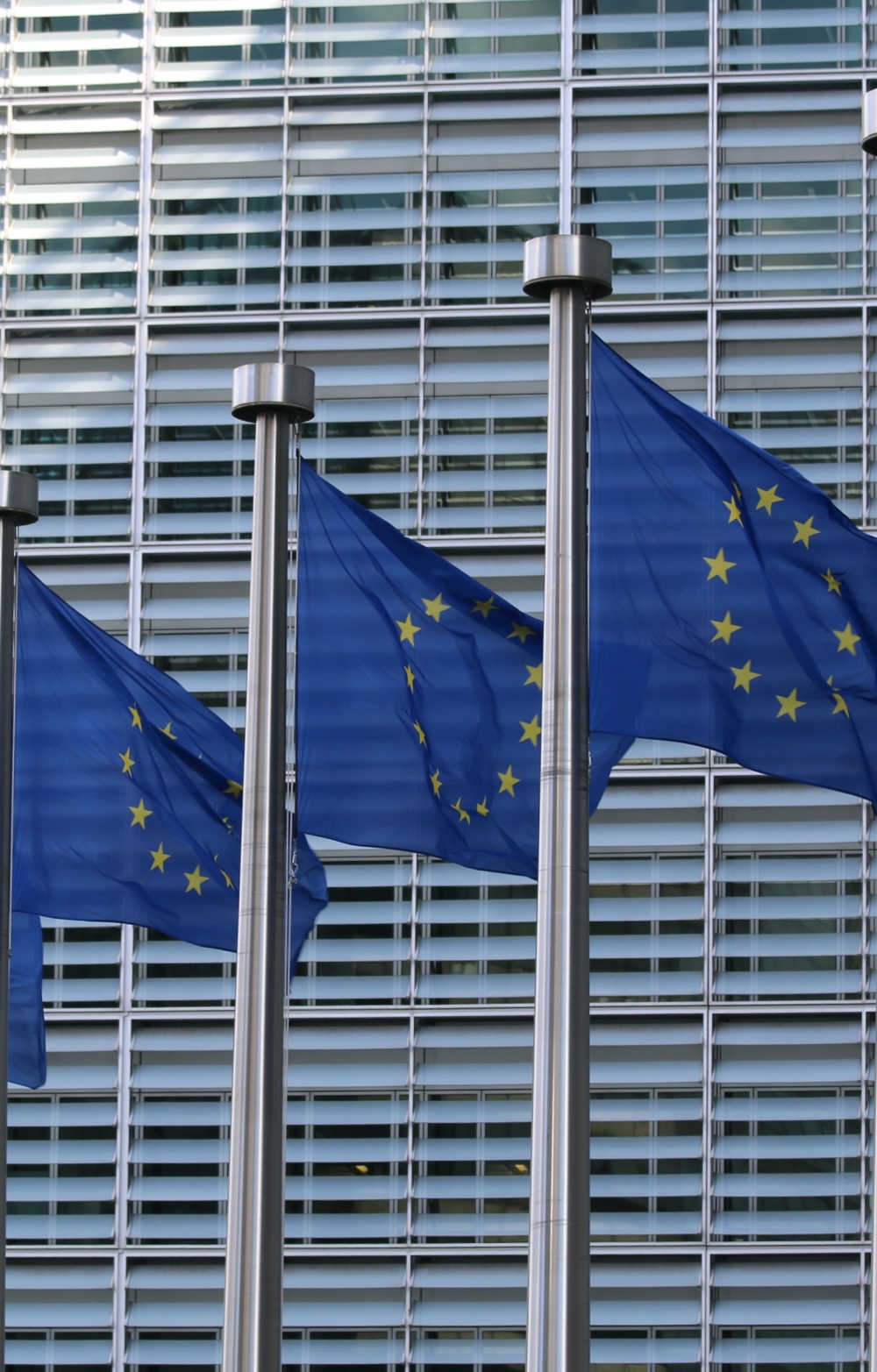 EU regulation picture