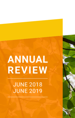 Annual review 2018-2019