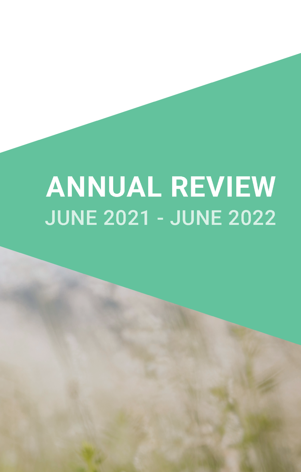 Hand picking a flower