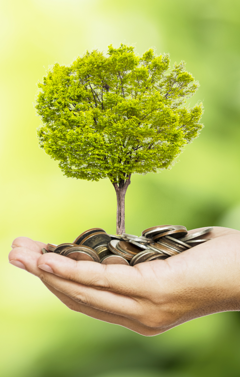 A handful of coins holding a miniature tree  against a green background