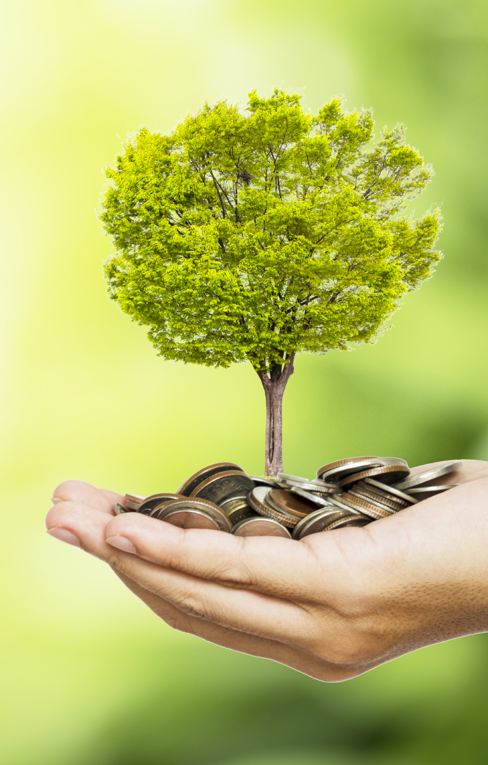A handful of coins holding a green miniature tree agains a green background