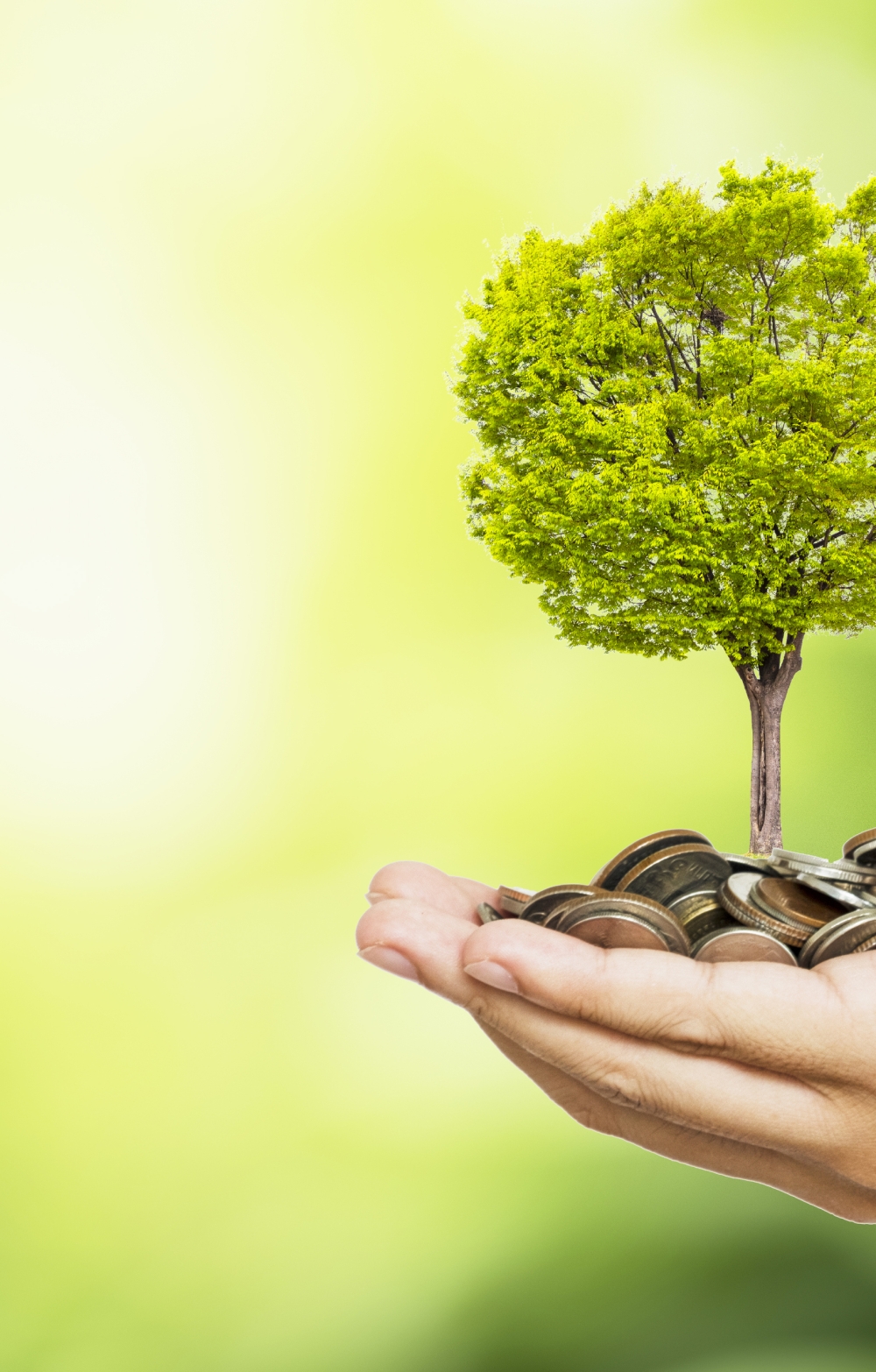 BMR; index providers; sustainable finance