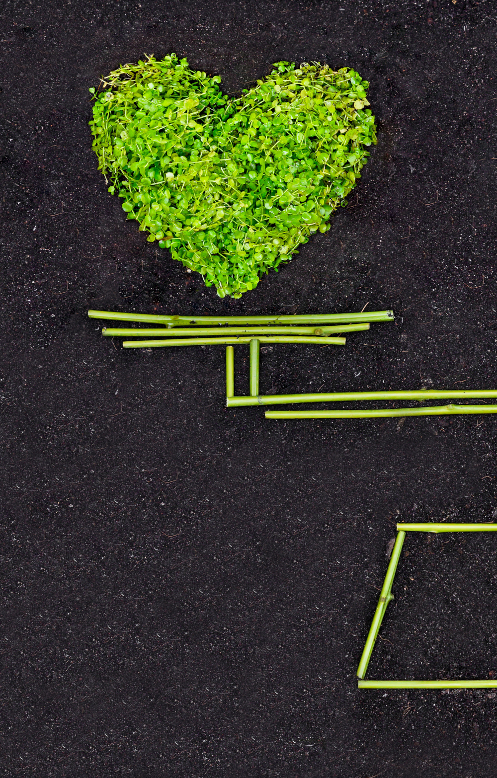 Representation of balancing sustainability and money