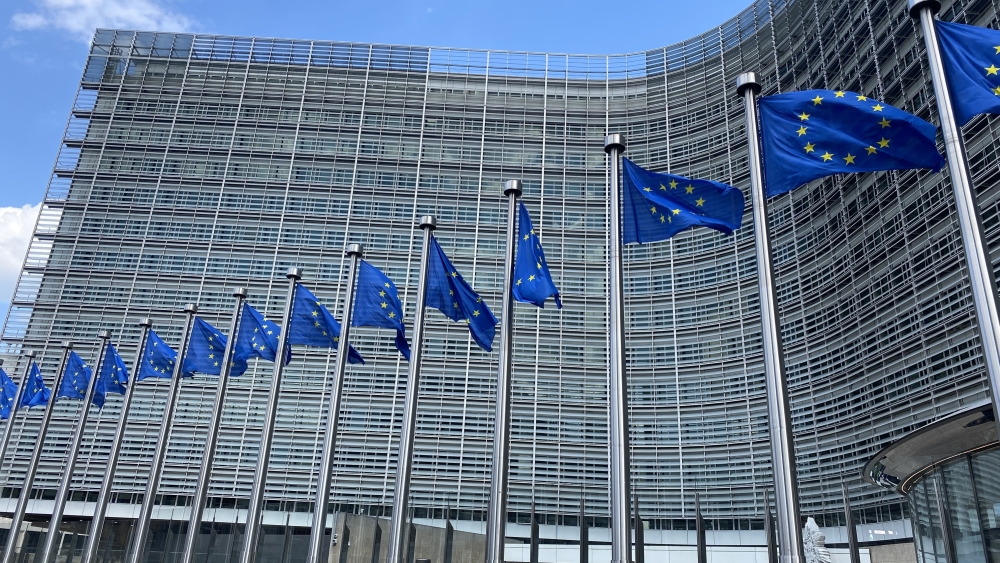 Eu flags