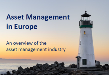 Asset management report 2019
