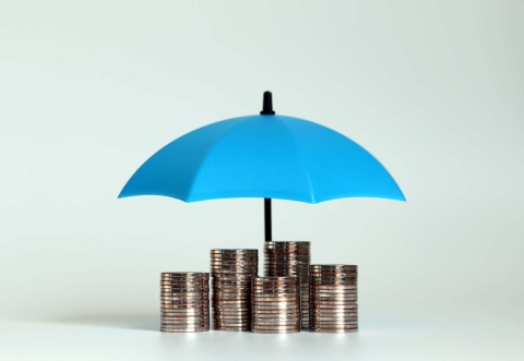 Umbrella covering money