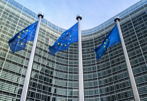 European Union flags in front of the Berlaymont building (European commission) in Brussels, Belgium.