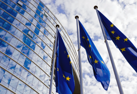 EU flags against a blue sky background