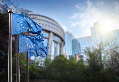 Photo of the European Parliament in Brussels with the EU flags flying