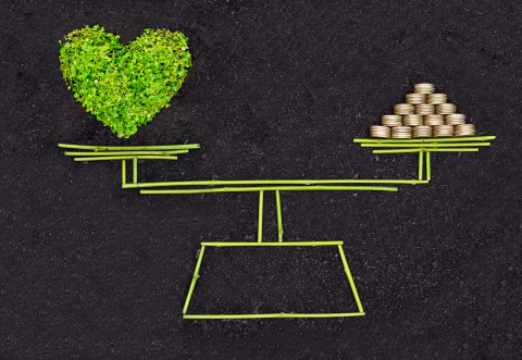 Representation of balancing sustainability and money